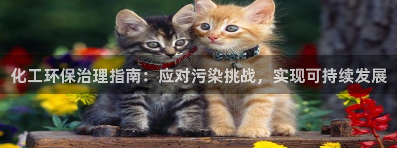 亿万先生下载客户端：化工环保治理指南：应对污染挑战，实现可持续发展