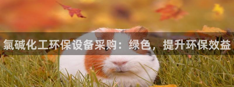 亿万网友在线实时为您解答问题：氯碱化工环保设备采购：绿色，提升环保效益