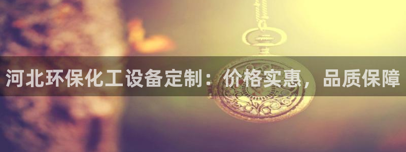 亿万先生官方网站客户端下载安装手机版：河北环保化工设备定制：价格实惠，品质保障