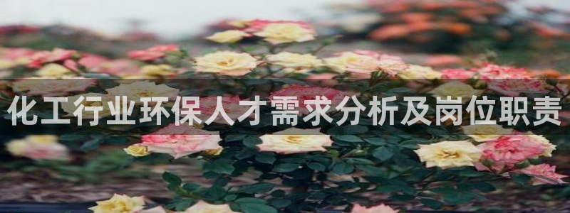 亿万先生合并网址：化工行业环保人才需求分析及岗位职责