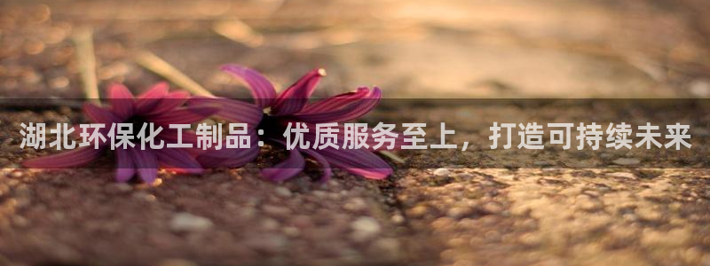 亿万先生客户端官网首页：湖北环保化工制品：优质服务至上，打造可持续未来