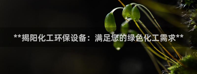 亿万国际平台是正规的吗安全吗：**揭阳化工环保设备：满足您的绿色化工需求**