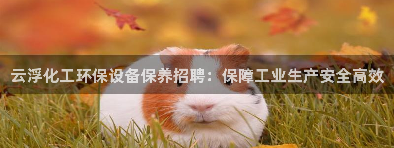 亿万先生007官网：云浮化工环保设备保养招聘：保障工业生产安全高效
