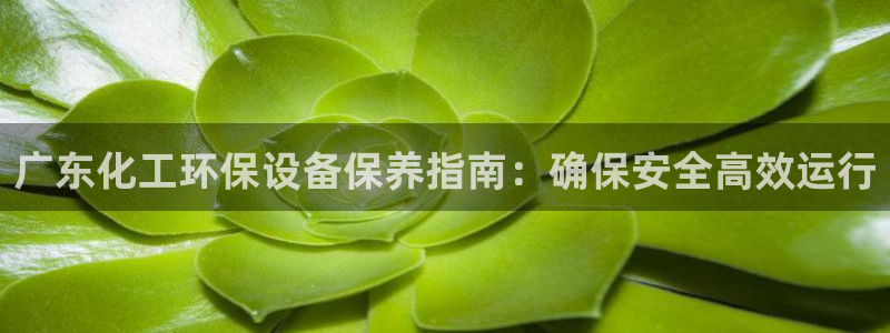 亿万先生合并网址是多少：广东化工环保设备保养指南：确保安全高效运行