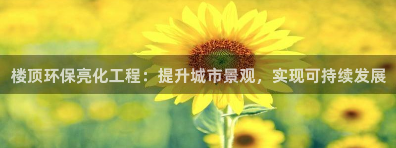 亿万先生合并：楼顶环保亮化工程：提升城市景观，实现可持续发展