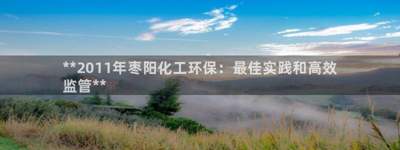 亿万先生手机版客户端下载安装：**2011年枣阳化工环保：最佳实践和高效
监管**
