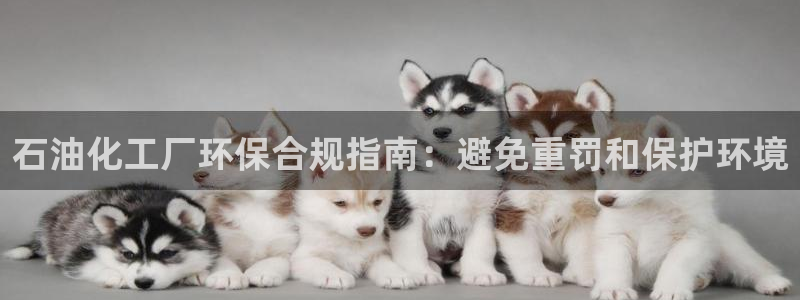 亿万先生官方网站下载安装：石油化工厂环保合规指南：避免重罚和保护环境