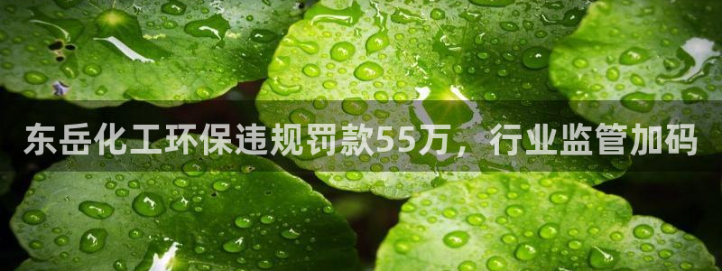 亿万先生客服：东岳化工环保违规罚款55万，行业监管加码