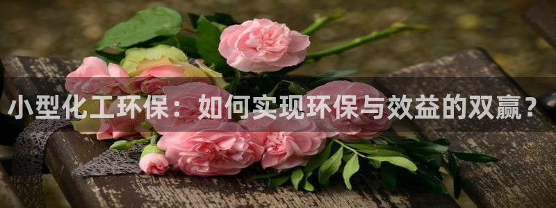 亿万解析：小型化工环保：如何实现环保与效益的双赢？