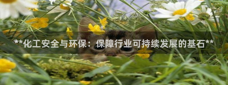 亿万讲了什么：**化工安全与环保：保障行业可持续发展的基石**