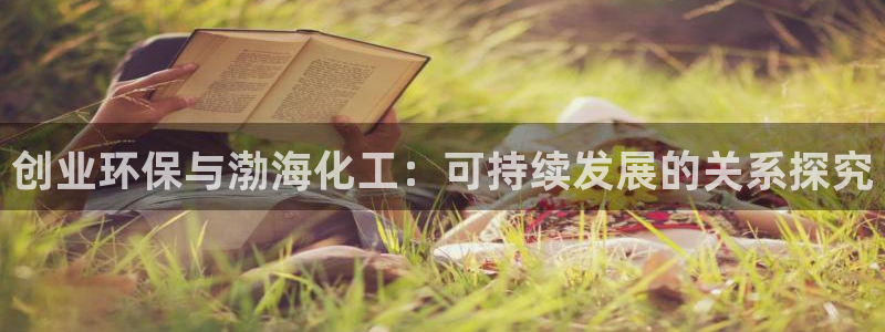 亿万先生合并：创业环保与渤海化工：可持续发展的关系探究
