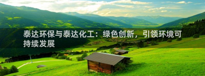 亿万先生mr014：泰达环保与泰达化工：绿色创新，引领环境可
持续发展