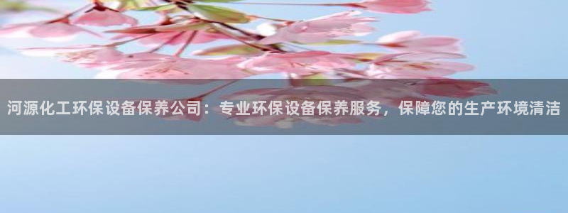 亿万先生 菲律宾：河源化工环保设备保养公司：专业环保设备保养服务，保障您的生产环境清洁