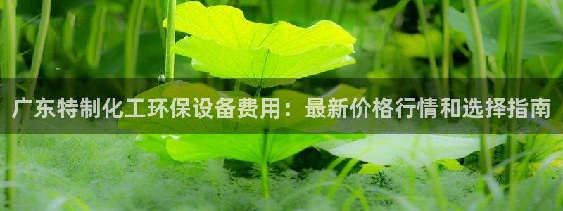 亿万先生客服联系方式：广东特制化工环保设备费用：最新价格行情和选择指南