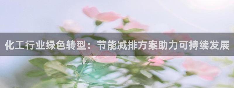 亿万网友在线解答：化工行业绿色转型：节能减排方案助力可持续发展