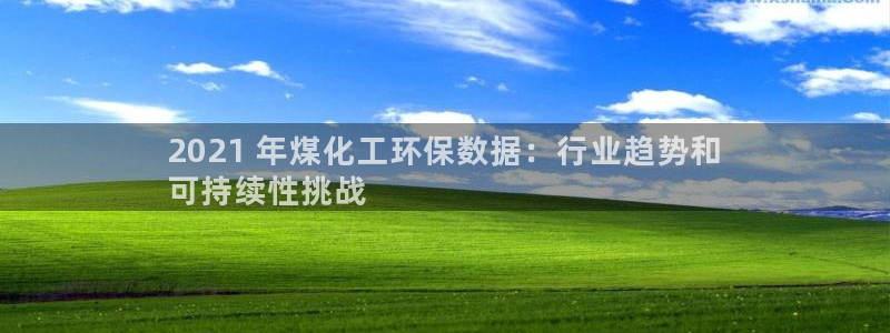 亿万先生mr：2021 年煤化工环保数据：行业趋势和
可持续性挑战