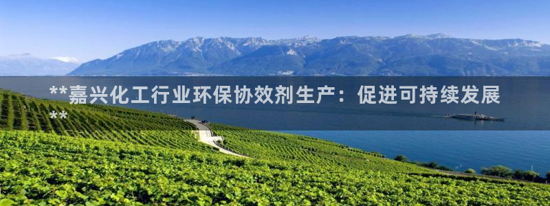 亿万先生情侣车有什么用：**嘉兴化工行业环保协效剂生产：促进可持续发展
**