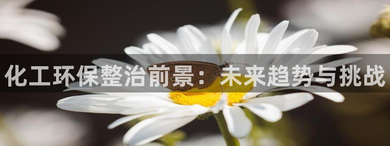 亿万下载：化工环保整治前景：未来趋势与挑战