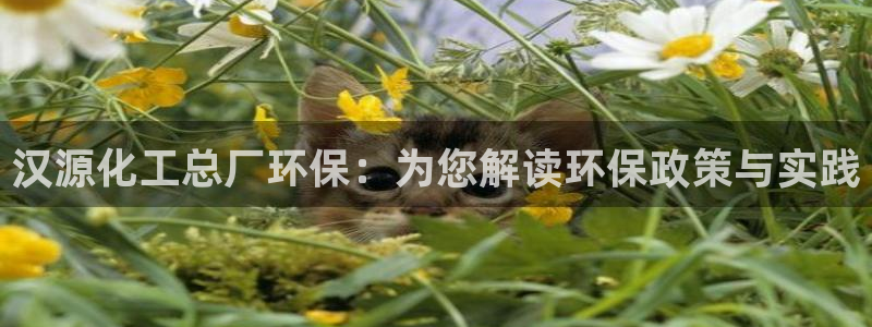 亿万国际游戏官网手机版：汉源化工总厂环保：为您解读环保政策与实践