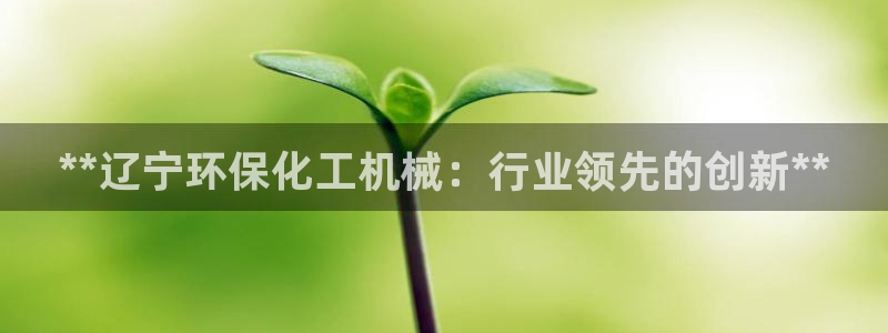 亿万先生mr014：**辽宁环保化工机械：行业领先的创新**