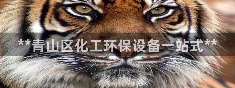 亿万剧集：**青山区化工环保设备一站式**