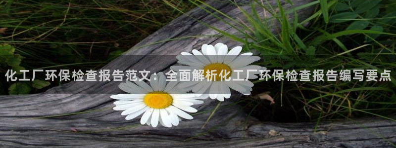 亿万先生客户端官网首页：化工厂环保检查报告范文：全面解析化工厂环保检查报告编写要点