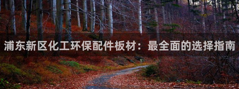 亿万首富手游：浦东新区化工环保配件板材：最全面的选择指南