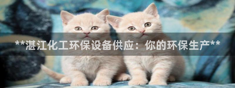 亿万先生手游下载官网：**湛江化工环保设备供应：你的环保生产**