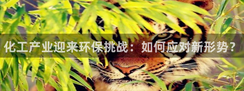 亿万先生游戏平台网址：化工产业迎来环保挑战：如何应对新形势？