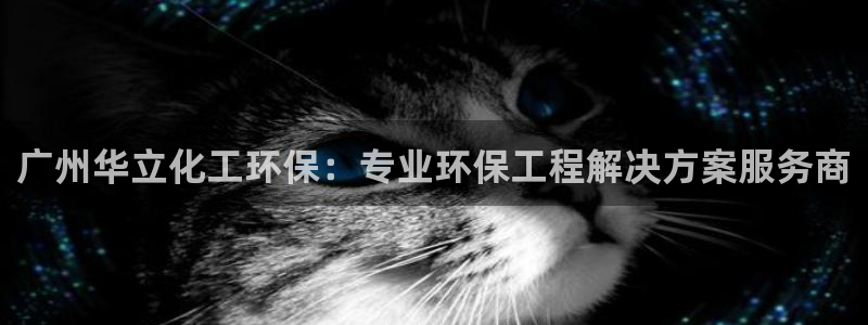 mr亿万先生：广州华立化工环保：专业环保工程解决方案服务商
