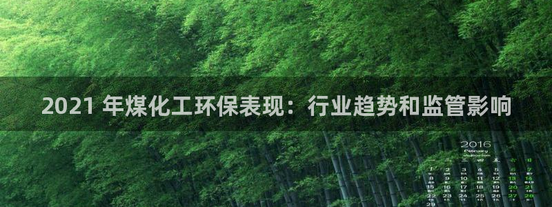 亿万先生mr网址：2021 年煤化工环保表现：行业趋势和监管影响