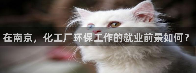 亿万先生mr：在南京，化工厂环保工作的就业前景如何？