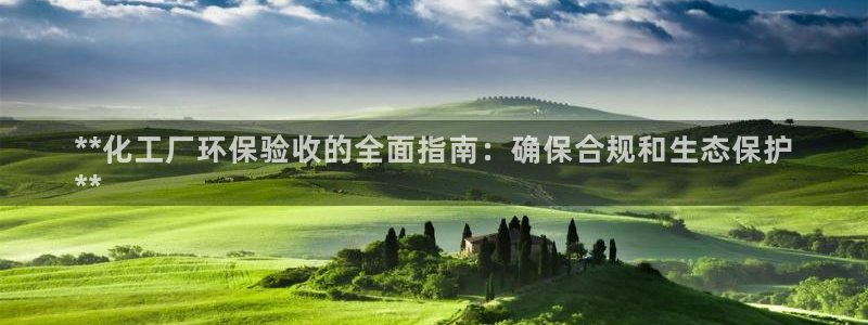 亿万先生网站下载：**化工厂环保验收的全面指南：确保合规和生态保护
**