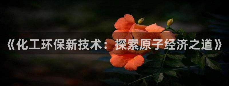 亿万首富手游兑换码：《化工环保新技术：探索原子经济之道》