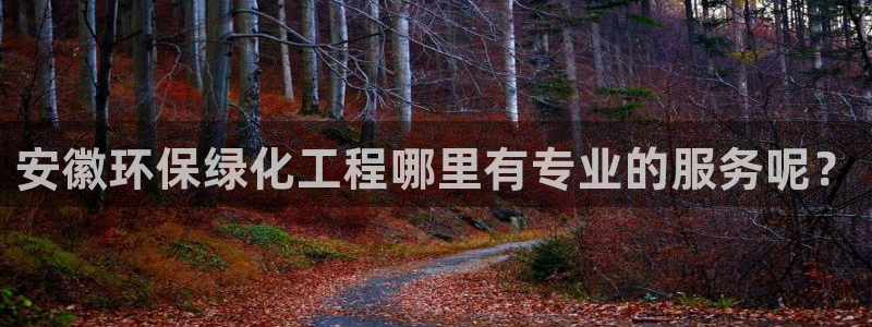 亿万先生客户端官网登录：安徽环保绿化工程哪里有专业的服务呢？