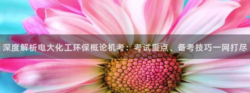 亿万先生app：深度解析电大化工环保概论机考：考试重点、备考技巧一网打尽