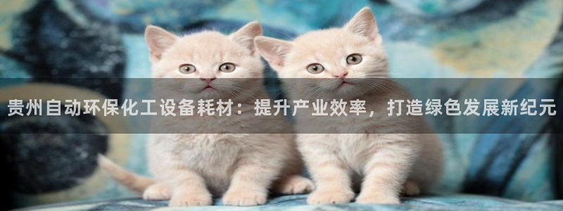 亿万先生手机客户端：贵州自动环保化工设备耗材：提升产业效率，打造绿色发展新纪元