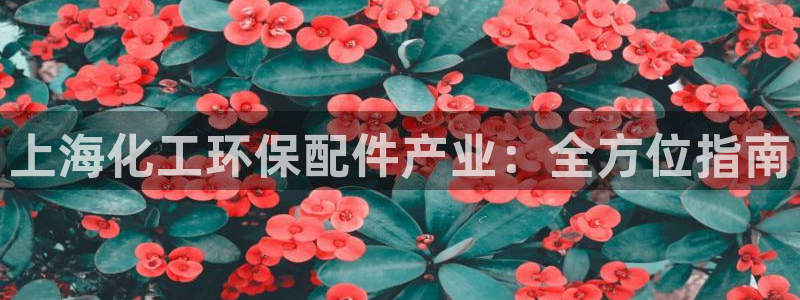 亿万先生换网址了吗知乎：上海化工环保配件产业：全方位指南