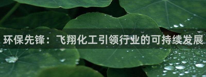 亿万网络科技有限公司：环保先锋：飞翔化工引领行业的可持续发展