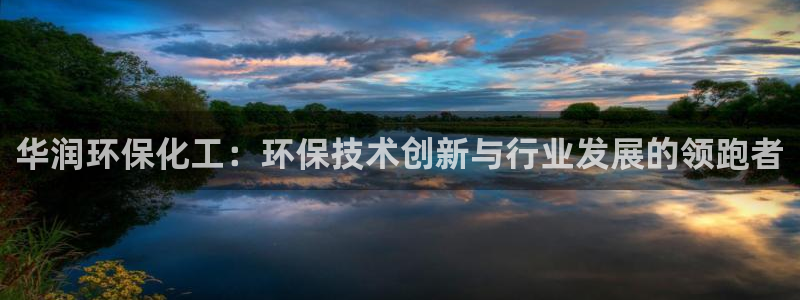 电影 亿万：华润环保化工：环保技术创新与行业发展的领跑者