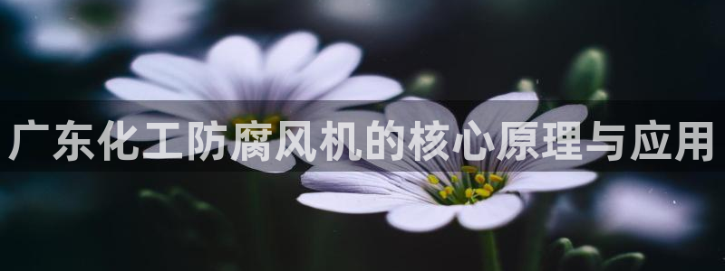 mr07亿万先生：广东化工防腐风机的核心原理与应用
