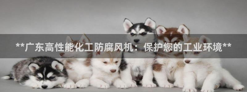 亿万app：**广东高性能化工防腐风机：保护您的工业环境**