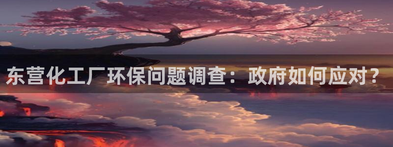 亿万先生mr：东营化工厂环保问题调查：政府如何应对？