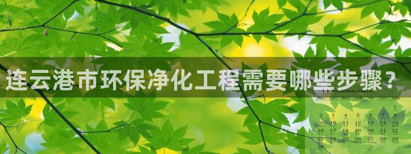 亿万先生网页版登录：连云港市环保净化工程需要哪些步骤？