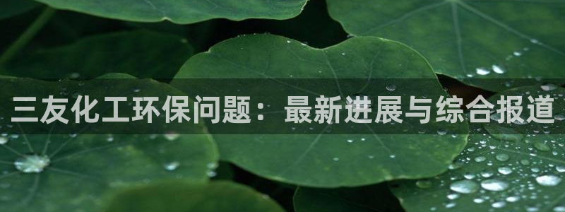亿万财富网：三友化工环保问题：最新进展与综合报道