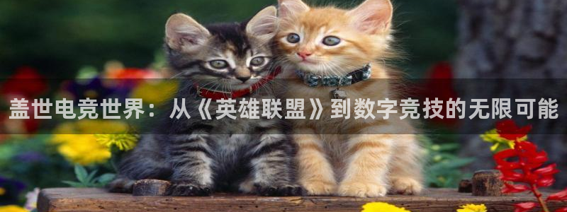 南宫电竞注册：盖世电竞世界：从《英雄联盟》到数字竞技的无限可能