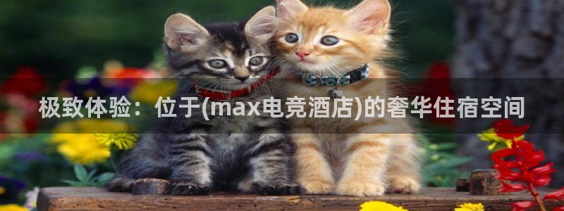 南宫电竞官网：极致体验：位于(max电竞酒店)的奢华住宿空间